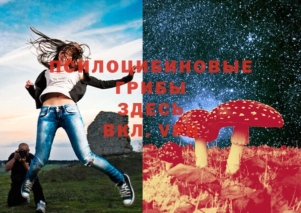 стафф Белокуриха